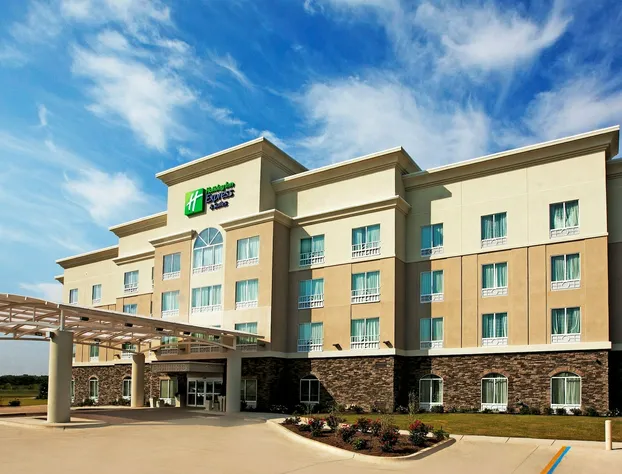 Holiday Inn Express Hotel & Suites Bossier City - Louisiana by IHG hotel detail image 1