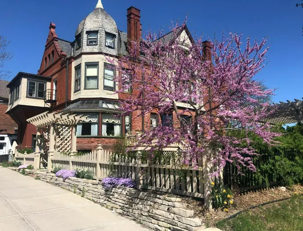Schuster Mansion Bed & Breakfast hotel detail image 4