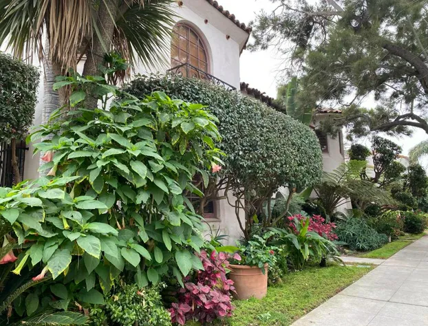 Villa Rosa Inn hotel detail image 3