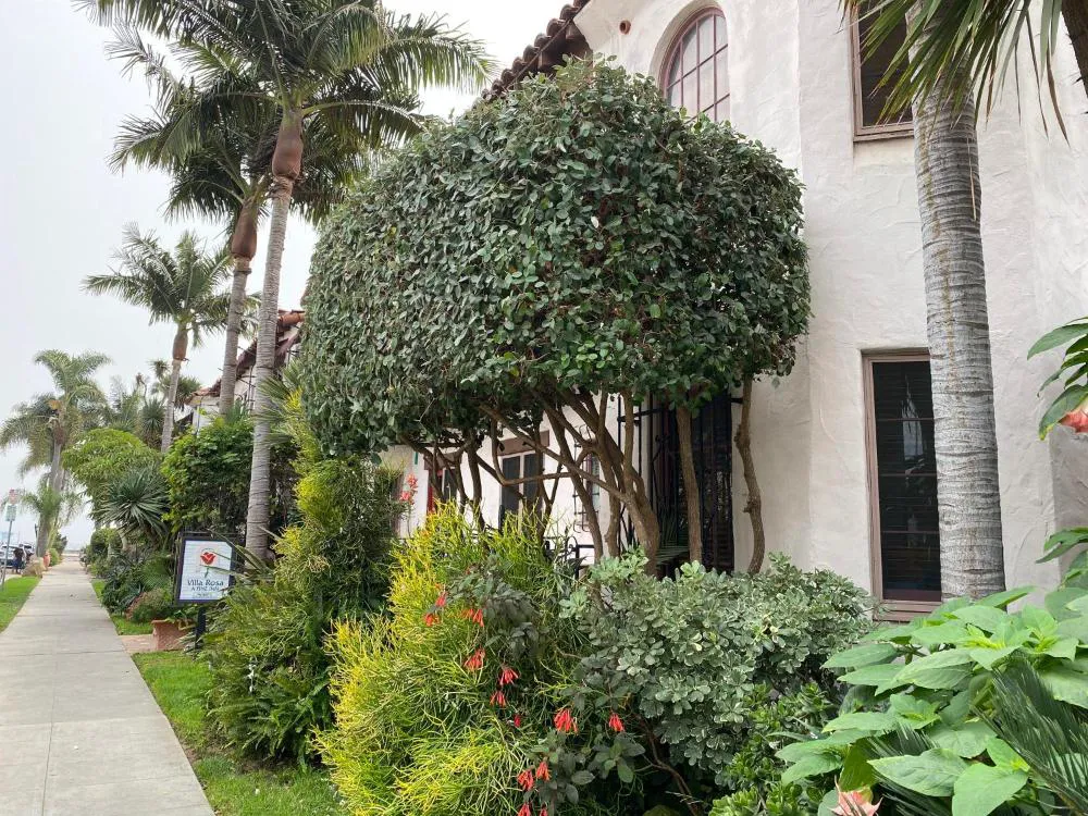 Villa Rosa Inn hotel hero