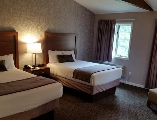 Treetops Resort hotel detail image 2