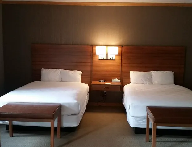 Treetops Resort hotel detail image 4