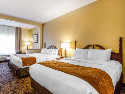 Comfort Suites Daphne - Mobile East Bay hotel detail image 3