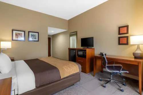 Comfort Inn & Suites Peachtree Corners - Norcross hotel detail image 3