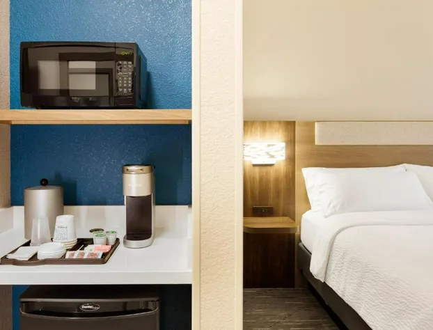 Holiday Inn Express & Suites Memphis East by IHG hotel detail image 3