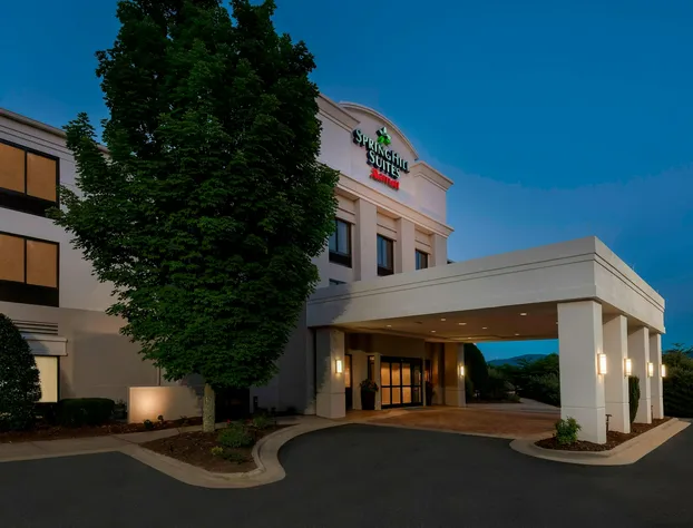 SpringHill Suites by Marriott Asheville hotel detail image 1
