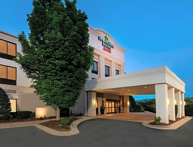 SpringHill Suites by Marriott Asheville hotel detail image 3