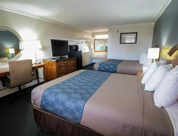 University Inn & Suites San Antonio hotel detail image 3