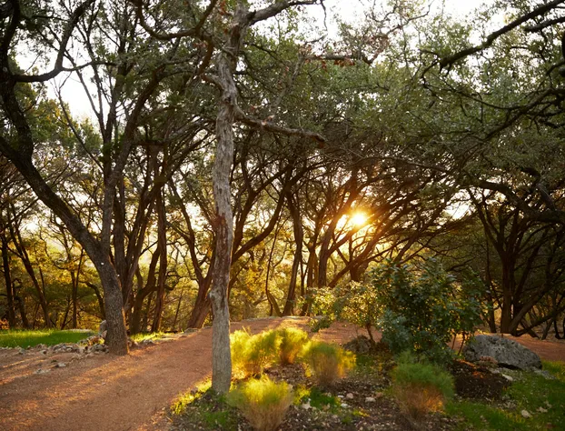 Miraval Austin hotel detail image 2