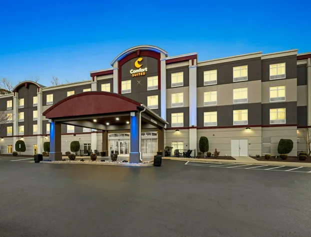 Comfort Suites Williamsburg Historic Area hotel detail image 3