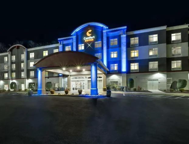 Comfort Suites Williamsburg Historic Area hotel detail image 1