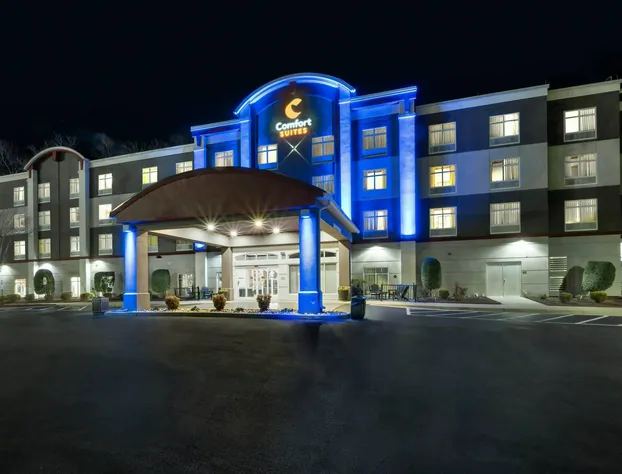 Comfort Suites Williamsburg Historic Area hotel detail image 2