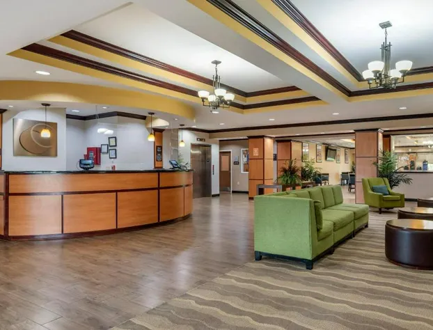 Comfort Suites Vicksburg hotel detail image 3