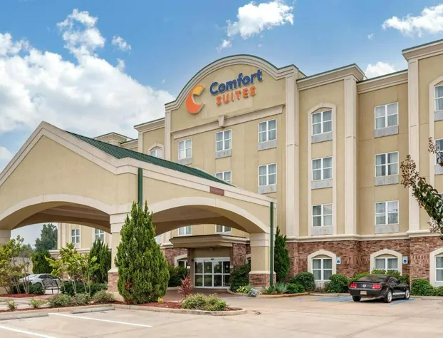Comfort Suites Vicksburg hotel detail image 1