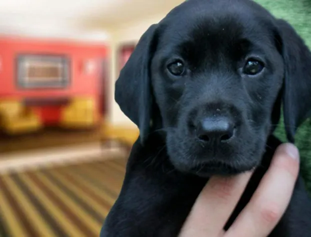 Extended Stay America Suites Atlanta Kennesaw Town Center hotel detail image 3