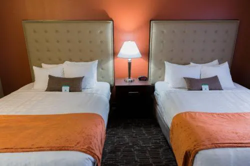 Best Western Northwest Lodge hotel detail image 4