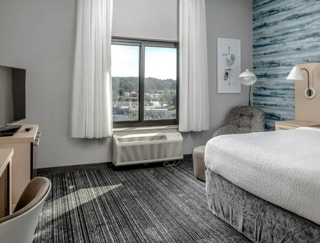 Towneplace Suites by Marriott Savannah Airport hotel detail image 2
