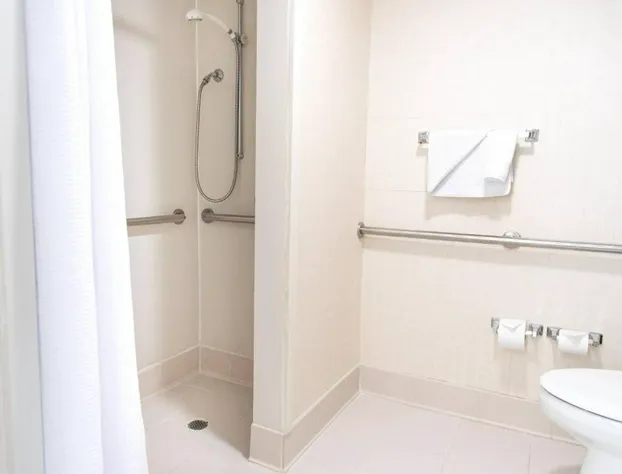 SpringHill Suites by Marriott Chicago Southwest at Burr Ridge/Hinsdale hotel detail image 3