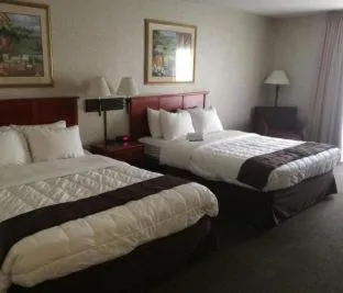 Quality Inn & Suites Albuquerque Midtown - University Area hotel detail image 3