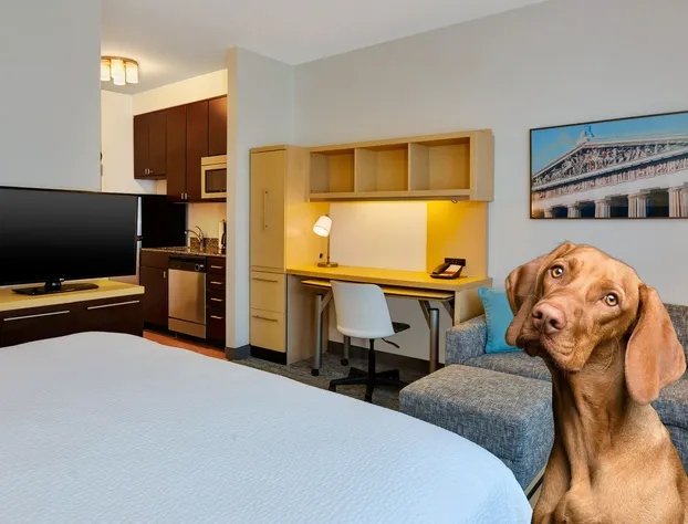 TownePlace Suites by Marriott Nashville Airport hotel detail image 4