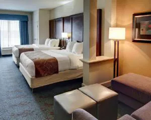 Comfort Suites Texarkana Arkansas hotel detail image 2