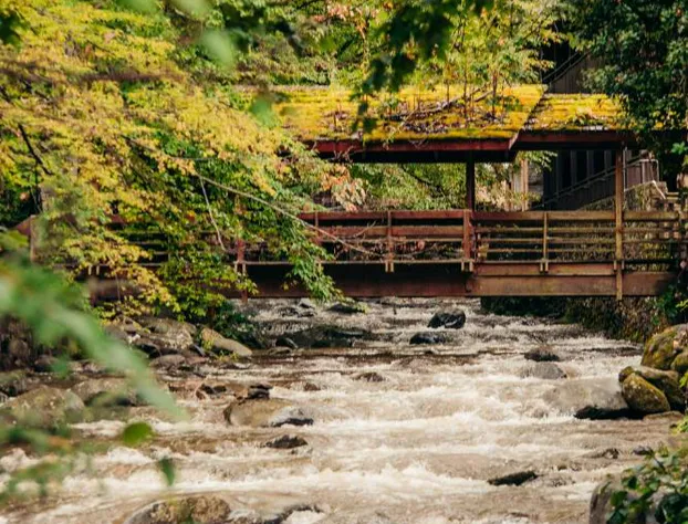 Brookside Lodge hotel detail image 3