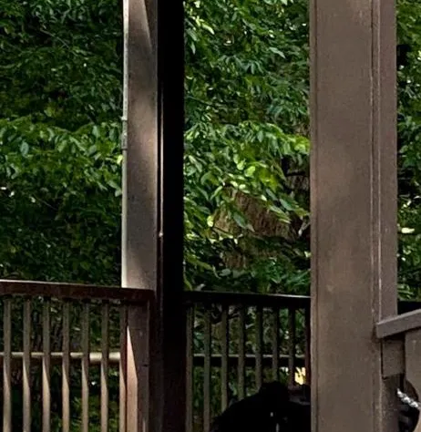 Brookside Lodge hotel detail image 4