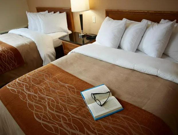 Comfort Inn Regina hotel detail image 4