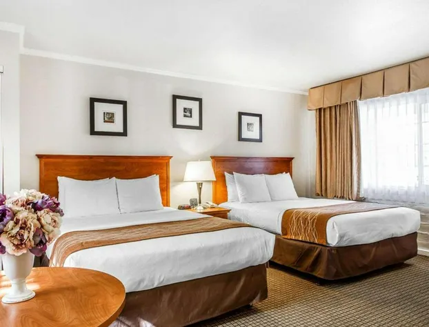 The Inn at 1252 hotel detail image 4