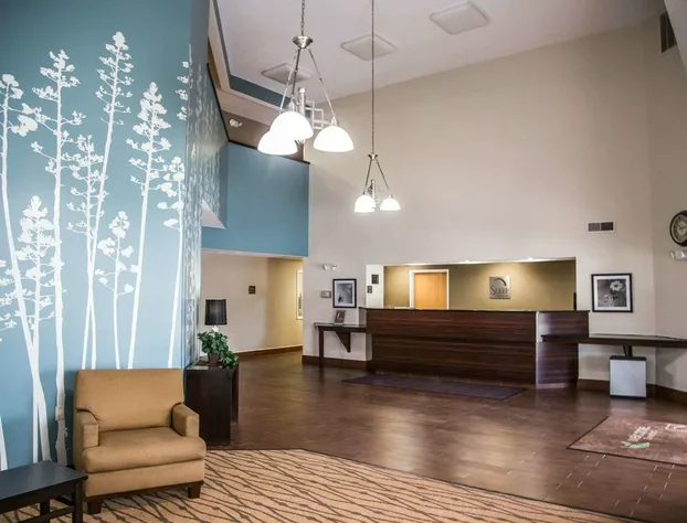 Sleep Inn & Suites Davenport - Quad Cities hotel detail image 3