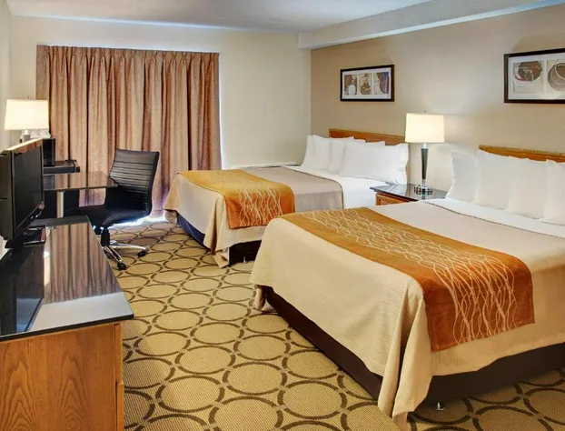 Comfort Inn Brandon hotel detail image 4