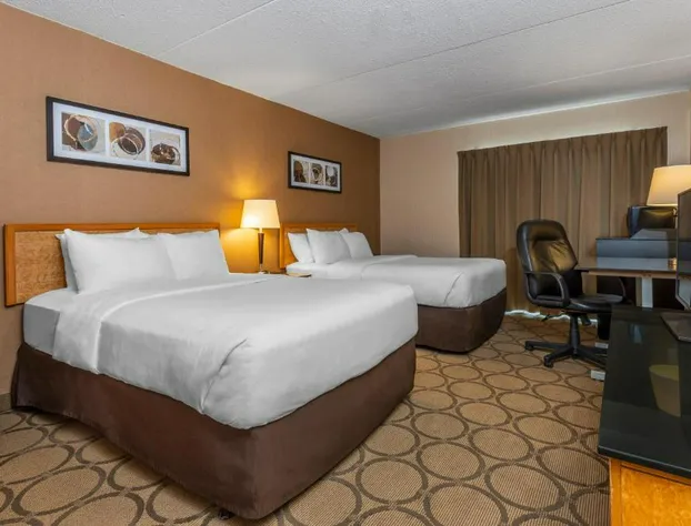 Comfort Inn Brandon hotel detail image 4