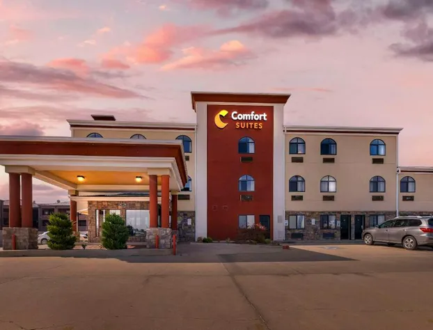 Comfort Suites Fairgrounds West hotel detail image 4