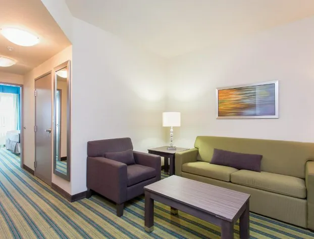 Holiday Inn Texarkana Arkansas Conv Ctr by IHG hotel detail image 4