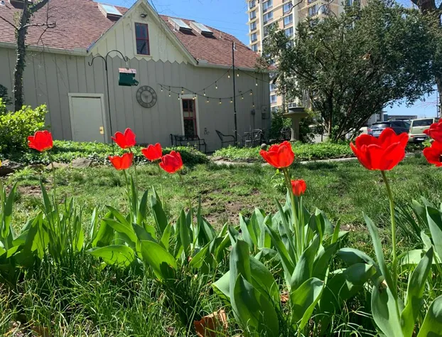 Walnut Street Inn hotel detail image 3