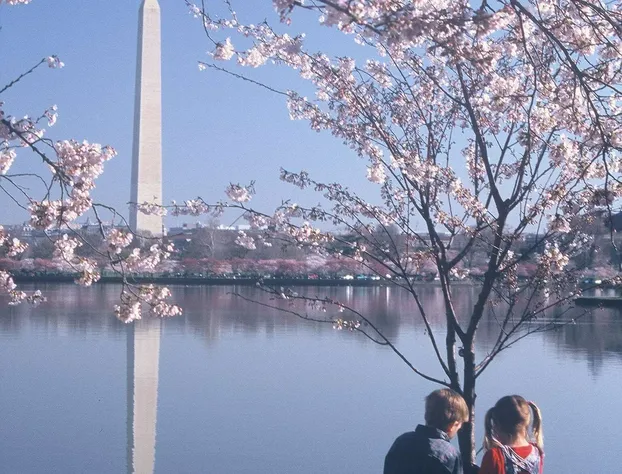 Homewood Suites by Hilton Falls Church - I-495 at Rt. 50 hotel detail image 1