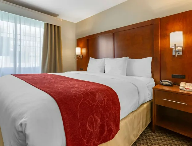 Comfort Suites Phoenix Airport hotel detail image 4