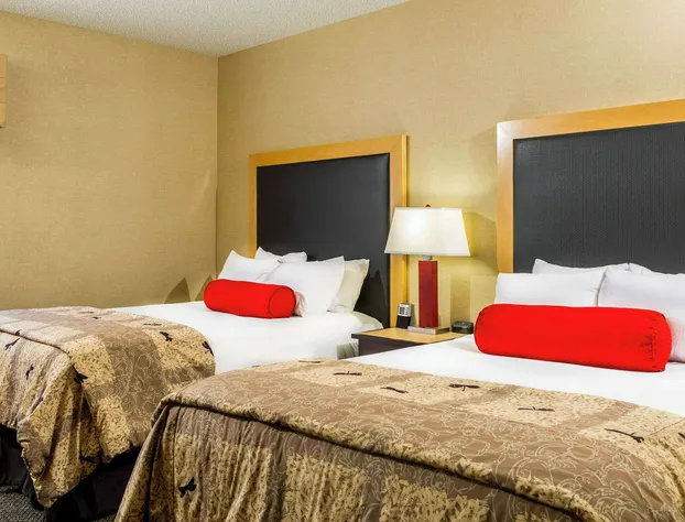 Cambria Hotel Raleigh - Durham Airport hotel detail image 3