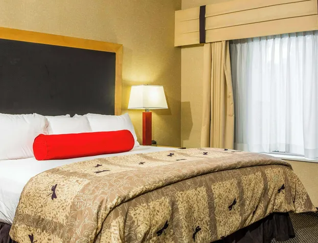 Cambria Hotel Raleigh - Durham Airport hotel detail image 4