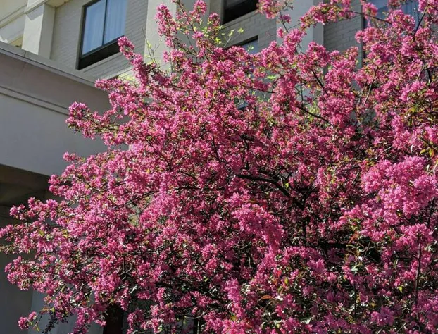Hampton Inn & Suites Cincinnati-Union Center hotel detail image 3