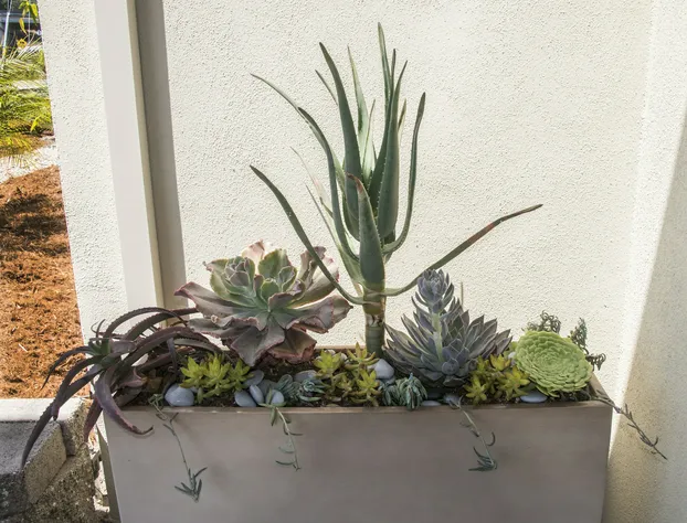 Comfort Inn Santa Cruz North hotel detail image 1