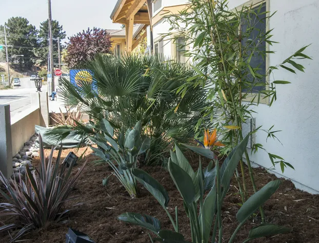 Comfort Inn Santa Cruz North hotel detail image 2