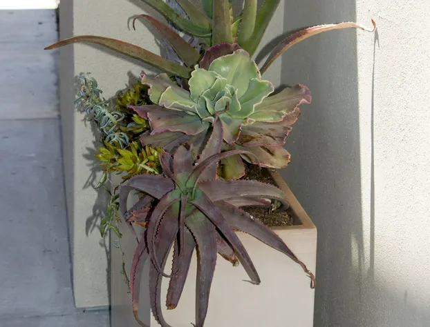 Comfort Inn Santa Cruz North hotel detail image 3