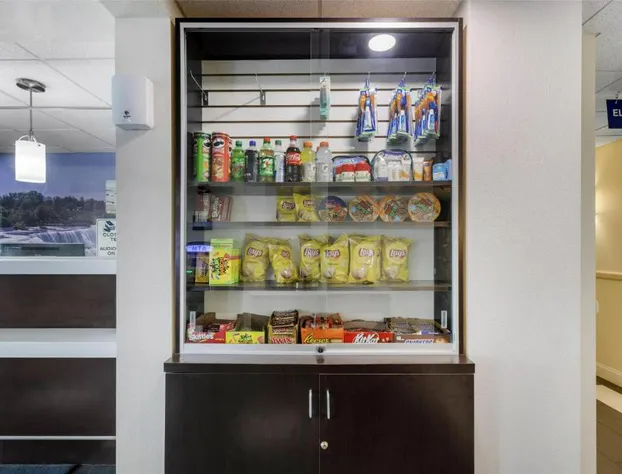 SureStay Plus Hotel by Best Western Niagara Falls East hotel detail image 3