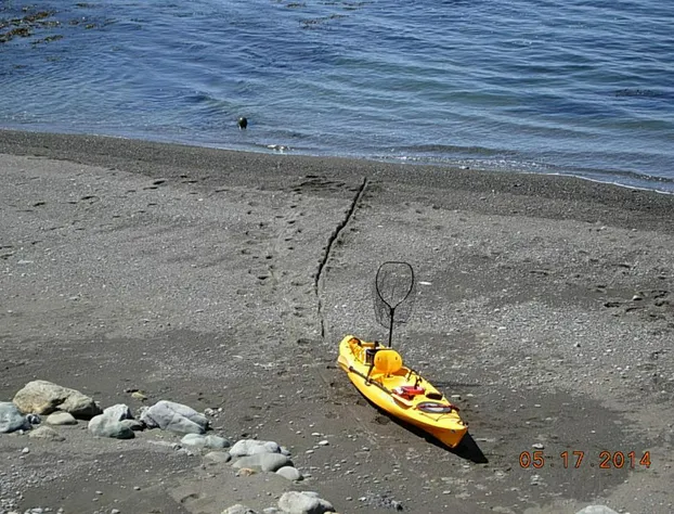 The Oceanfront Inn hotel detail image 1