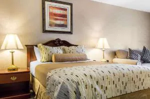 Clarion Hotel Philadelphia International Airport hotel detail image 3