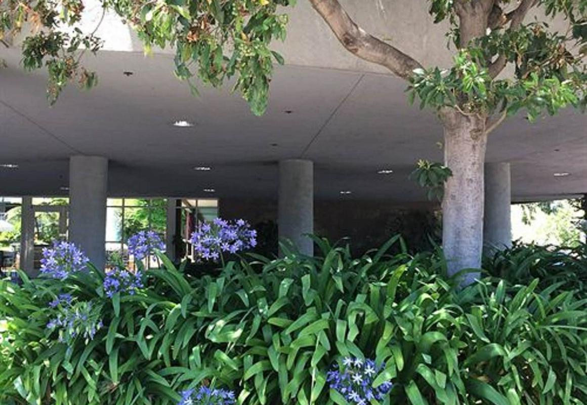 Cupertino Hotel hotel hero
