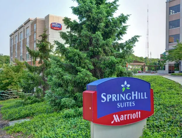 Springhill Suites by Marriott Midtown Cincinnati hotel detail image 3