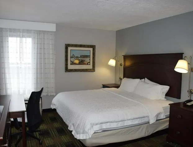 Wingate by Wyndham Baltimore BWI Airport hotel detail image 4
