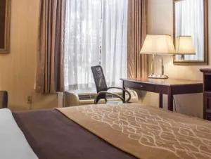 Comfort Inn Wethersfield - Hartford hotel detail image 4